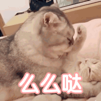 示例图片